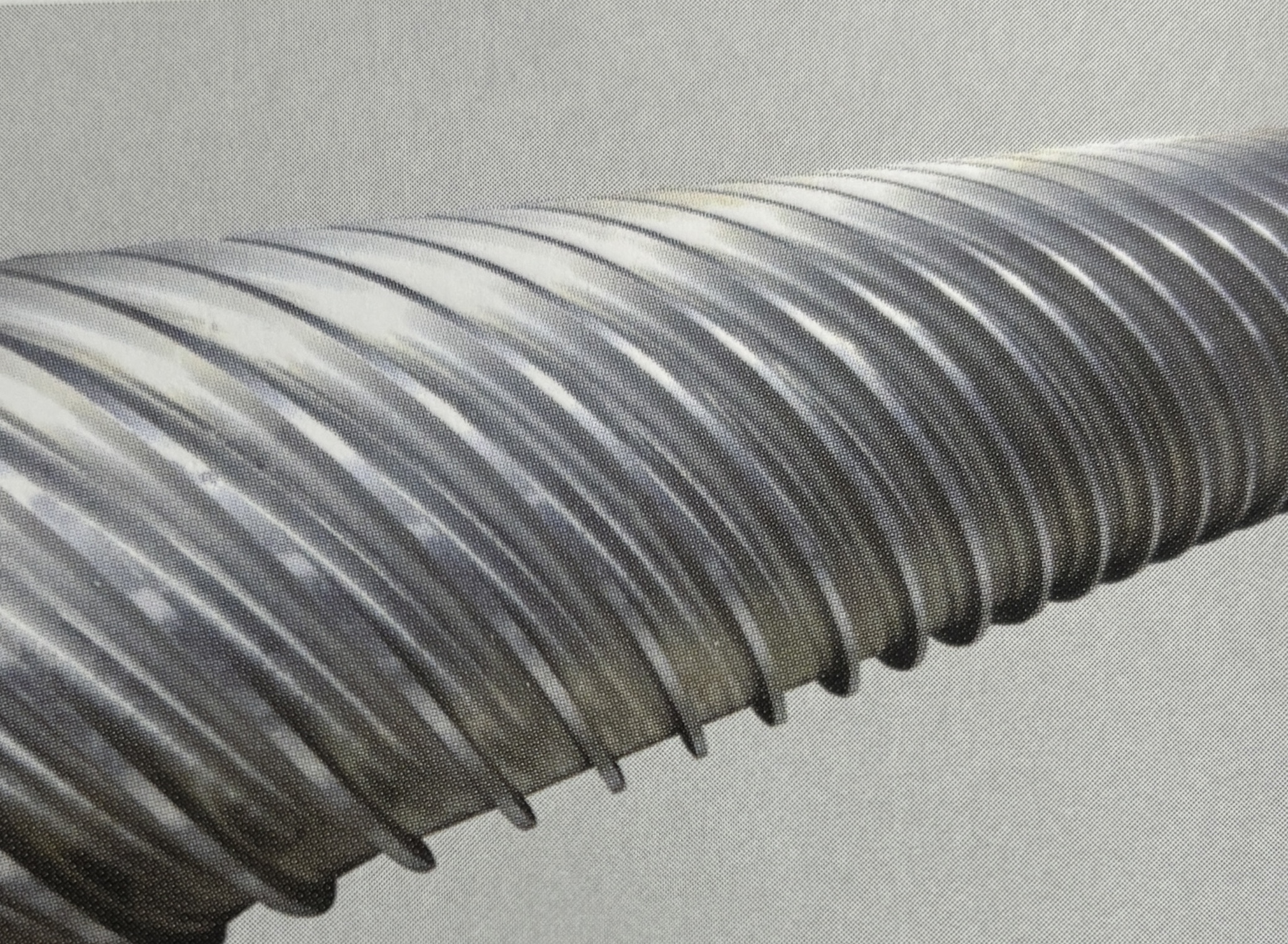 벽이 얇고 효율적인 롤러