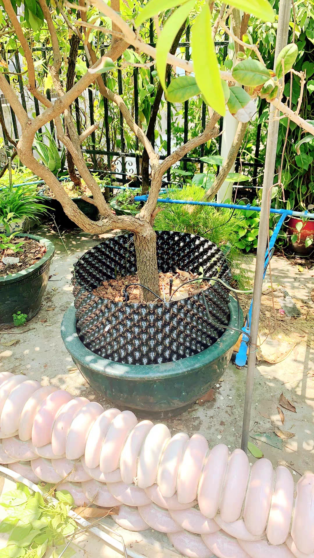 사진_20260302214024_90_24